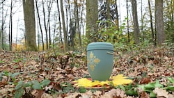 In Bestattungswäldern werden ausschließlich biologisch abbaubare Urnen verwendet.