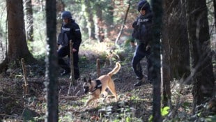 Das weitläufige Gebiet rund um Stiwoll war nach dem Doppelmord wochenlang auch mit Spürhunden erfolglos durchkämmt worden (Bild: Pail Sepp)