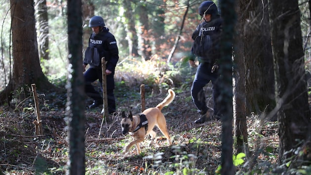 Das weitläufige Gebiet rund um Stiwoll war nach dem Doppelmord wochenlang auch mit Spürhunden erfolglos durchkämmt worden (Bild: Pail Sepp)