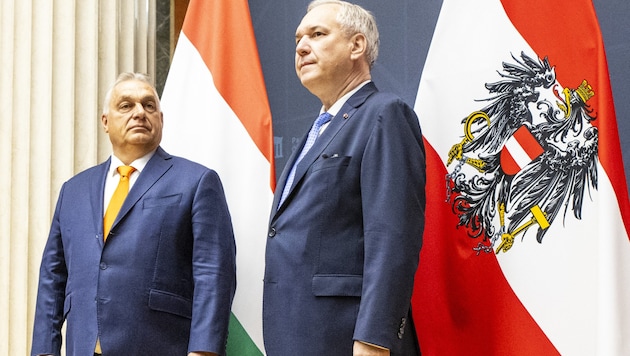 Gewichtiger Besuch im Parlament – die EU-Fahne durfte da nicht mit ins Bild. (Bild: APA/Tobias Steinmaurer)