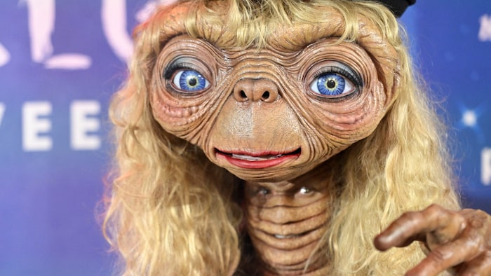 Wo versteckt sich Heidis Gesicht? Halloween 2024 war sie als „ET“ verkleidet“.