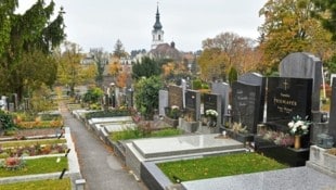 Der Grinzinger Friedhof besticht durch seine Aussicht. (Bild: Spitzbart Wolfgang/Wolfgang Spitzbart .)