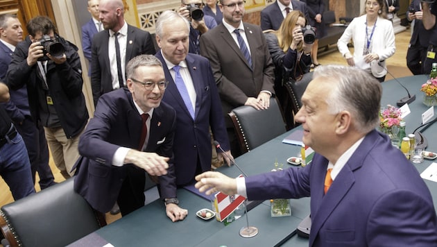 From the left: FPÖ leader Herbert Kickl and National Council President Walter Rosenkranz during Viktor Orbán's visit (front) (Bild: APA/Alex Halada)