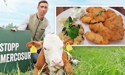 Bernhuber fordert Import- Stopp für Rinds- und Kalbsschnitzel aus Brasilien.