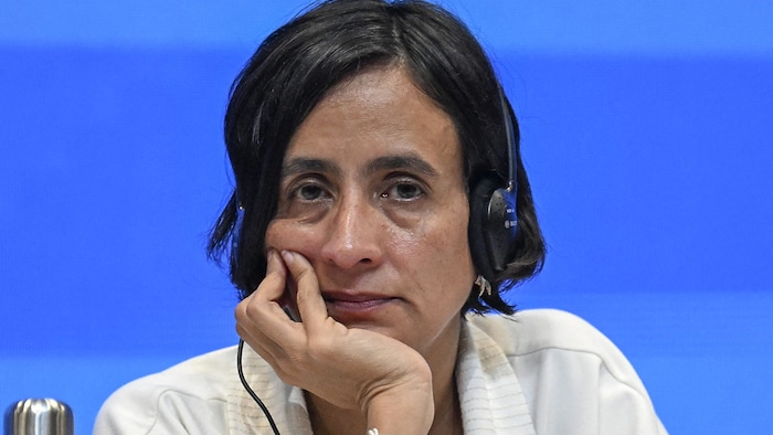 Die kolumbianische Umweltministerin Susana Muhamad hatte größere Erwartungen an die Konferenz ...