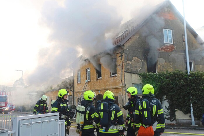 Will we still be in time? Or are we too late?