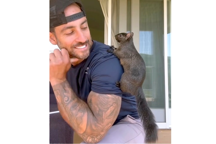 Mark mit „Peanut“