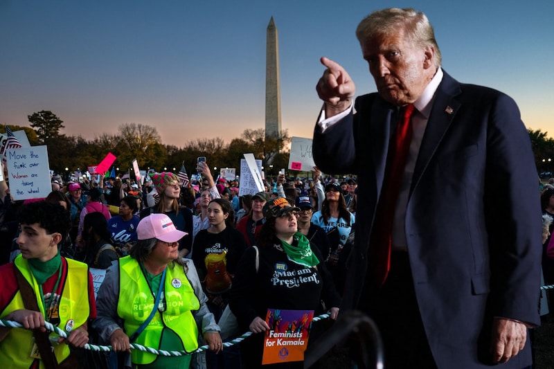 Women‘s March in Washington (Bild: 2024 Getty Images, AFP, Krone KREATIV)