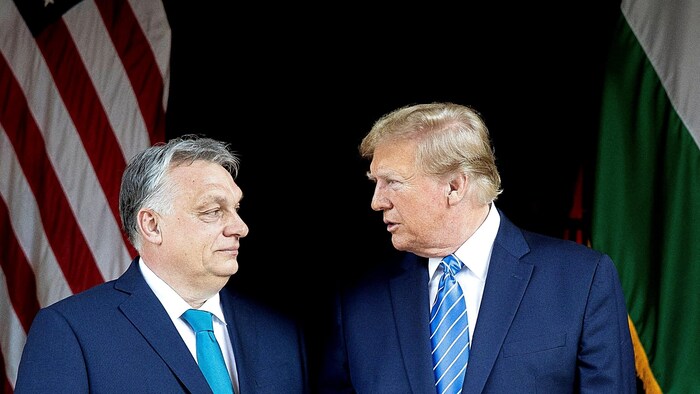 Hungary's Prime Minister Viktor Orbán believes Donald Trump will win and is calling on the EU ...