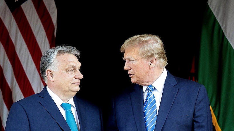 Hungary's Prime Minister Viktor Orbán believes Donald Trump will win and is calling on the EU states to reconsider their current course on Ukraine. (Bild: APA/AFP/HUNGARIAN PRIME MINISTER‘S OFFICE/ZOLTAN FISCHER)