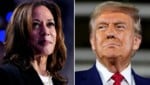 Kamala Harris gegen Donald Trump – die Welt blickt in die USA. (Bild: AP)