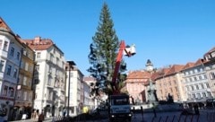 Montagfrüh wurde der Baum aufgestellt. (Bild: Jauschowetz Christian)