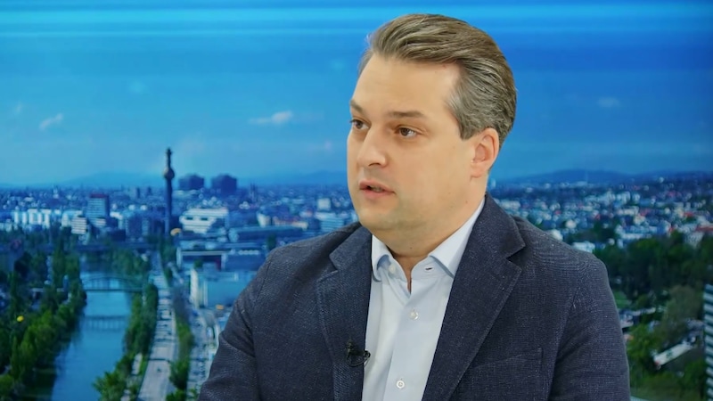 Wiens FPÖ-Chef Dominik Nepp (Bild: krone.tv)