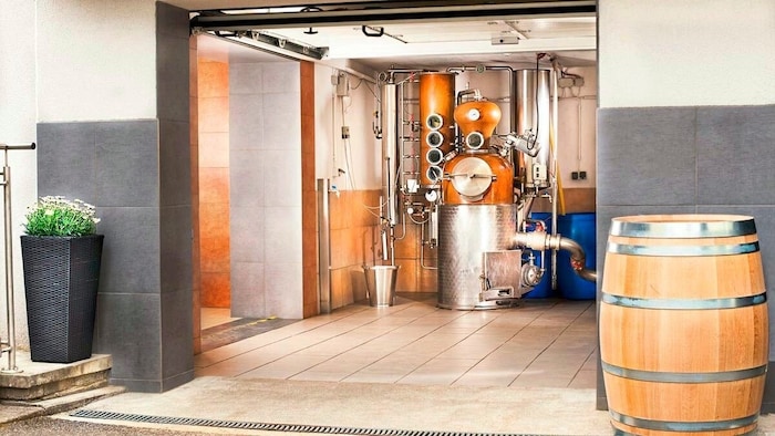 Den Ausgang nahm ihr Erfolg in einer 15 Quadratmeter großen Garage