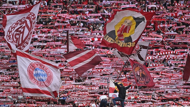 Die Fans des FC Bayern München sind außer sich. (Bild: GEPA pictures)