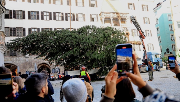 The 15-metre-high spruce was erected in front of the Golden Roof on Tuesday. (Bild: Birbaumer Christof)