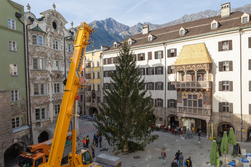 The Christmas tree has been standing in the old town since Tuesday. (Bild: M. Freinhofer)