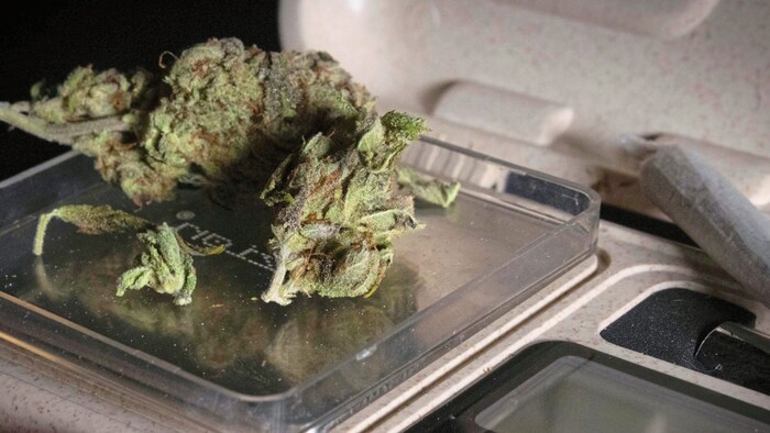 Dealing took place from 2019 to 2024