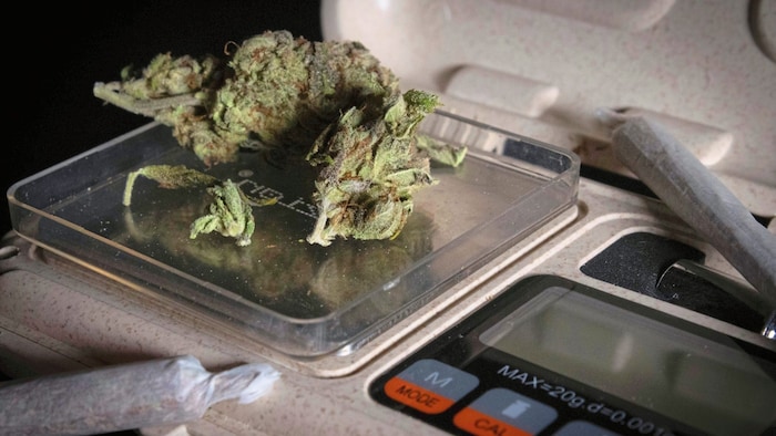 Gedealt wurde von 2019 bis 2024