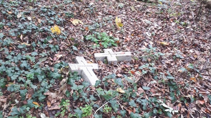 Zwei Kreuze der rund drei Meter hohen Marterl wurden im Gebüsch gefunden.