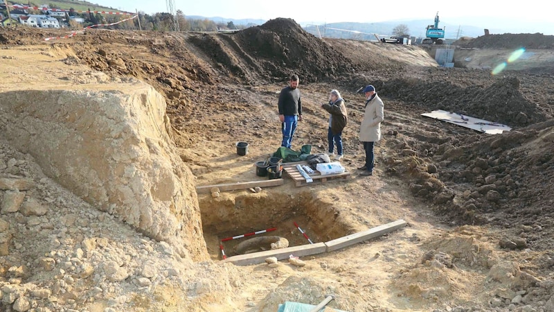 The thousand-year-old tusk is now being carefully uncovered and recovered. (Bild: Reinhard Judt)