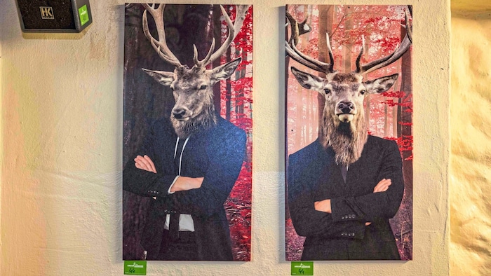 Diese Objekte können ersteigert werden.