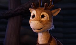 Ab sofort im Kino: „Niko – Reise zu den Polarlichtern“.