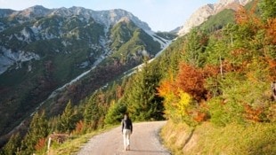 Die herbstliche Farbenpracht auf der Nordkette über Innsbruck versinkt in der kommenden Woche wohl im Weiß des Frühwinters. (Bild: Peter Freiberger)