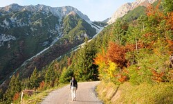 Die herbstliche Farbenpracht auf der Nordkette über Innsbruck versinkt in der kommenden Woche ...