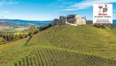 Neben dem Weingut Taggenbrunn in St. Veit sind noch sechs Kärntner Betriebe am Samstag dabei. (Bild: Franz Gerdl)