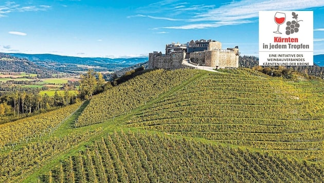 In addition to the Taggenbrunn winery in St. Veit, six other Carinthian wineries will be taking part on Saturday. (Bild: Franz Gerdl)