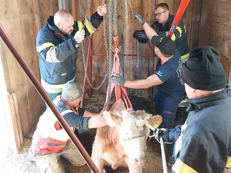 Mit vereinten Kräften gelang die Rettung.  (Bild: FF Eisbach-Rein)