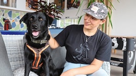 Tierheimleiterin Neda Adzic (im Bild mit Hund „Billy“) und ihre Mitarbeiter achten genau darauf, wer ein Tier adoptieren darf. (Bild: Johanna Birbaumer)