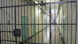 Ein 25-jähriger Häftling, der den Wien-Attentäter bei Waffenkäufen unterstützten, soll während ...