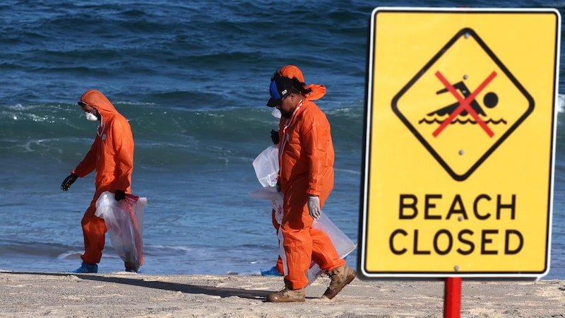 Die schwarzen Kügelchen wurden eingesammelt und untersucht – mit erschreckendem Ergebnis. (Bild: APA/AFP)