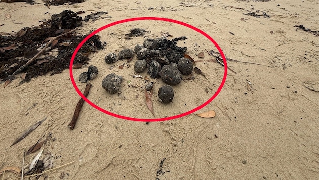 Wegen dieser schwarzen Kügelchen (im Bild rot markiert) musste Mitte Oktober ein beliebter Strand in Sydney geschlossen werden. (Bild: Randwick City Council)