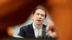 Berater und Unternehmer: Sebastian Kurz (Bild: Holl Reinhard)