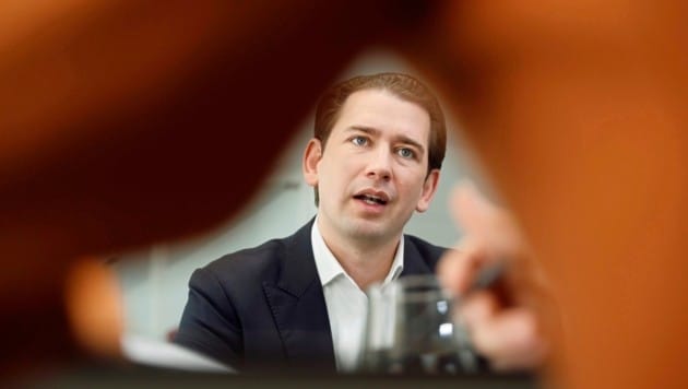 Berater und Unternehmer: Sebastian Kurz (Bild: Holl Reinhard)