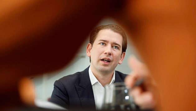 Berater und Unternehmer: Sebastian Kurz (Bild: Holl Reinhard)