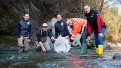 Der Fischereiverband mit Zacharias Schähle, Hannes Frontull und Andreas Schiechtl mit IKB-Vorstand Thomas Gasser und Herbert Schmid (v.li.). (Bild: IKB)