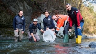 Der Fischereiverband mit Zacharias Schähle, Hannes Frontull und Andreas Schiechtl mit IKB-Vorstand Thomas Gasser und Herbert Schmid (v.li.). (Bild: IKB)