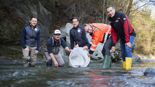 The fishing association with Zacharias Schähle, Hannes Frontull and Andreas Schiechtl with IKB board member Thomas Gasser and Herbert Schmid (from left). (Bild: IKB)