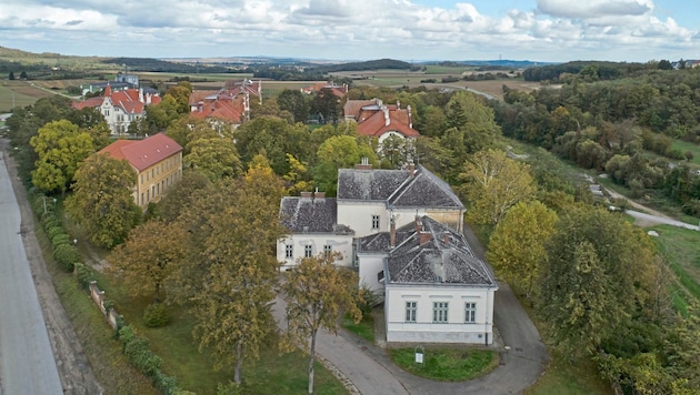 Vier Hektar umfasst das „Lindenhof-Areal“ insgesamt. (Bild: Andreas Buchberger)