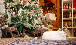 Die Tiere auf Gut Aiderbichl sind schon in Weihnachtsstimmung