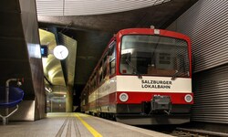 Salzburg ist gespalten. Sowohl Gegner als auch Befürworter des Großprojekts haben in den ...