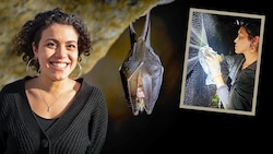 Sie kennt sich aus mit den Vögeln der Nacht: „Batwoman“ Rym Nouioua vom Department für Botanik und Biodiversitätsforschung der Uni Wien. (Bild: Krone KREATIV/LUKAS_SCHRAMM/Stock.adobe.com/Rym Nouioua)