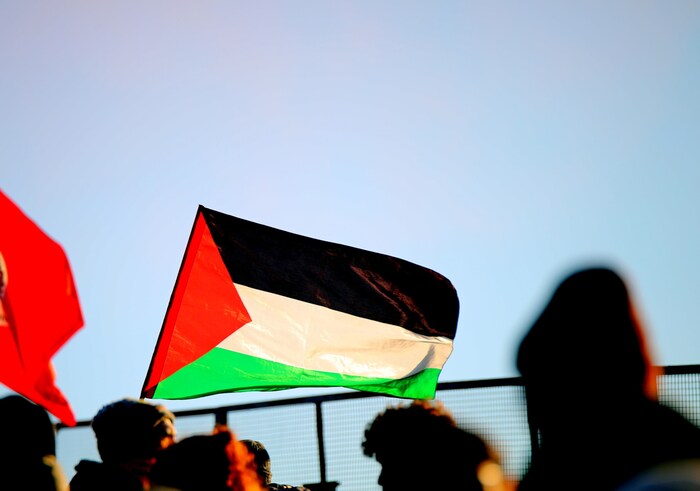 Demonstranten schwenken während einer Demonstration die Palästina-Flagge.