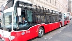 Die Busfahrer der Wiener Linien müssen viele Gesundheitschecks machen. (Bild: Jöchl Martin/Krone)