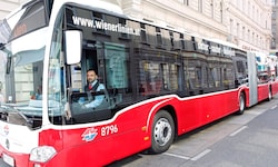 Die Busfahrer der Wiener Linien müssen viele Gesundheitschecks machen.