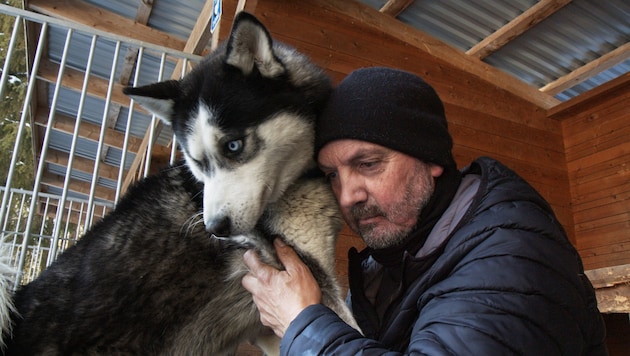 Anton Kuttner hat den Verein „Husky Tonis Kindertraum“ gegründet, um kranken Mädchen und Buben eine kleine Auszeit vom oft schwierigen Alltag zu ermöglichen. (Bild: Bergauer Rubina/2024 av-design GmbH)